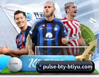 B体育官方网站 APP(bsport)